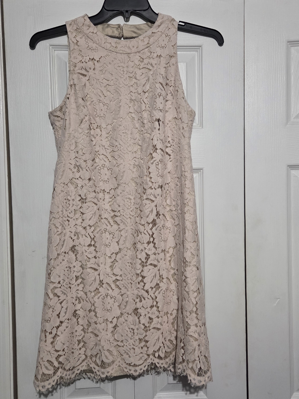 Vince Camuto Blush Lace Sleeveless Shift Dress